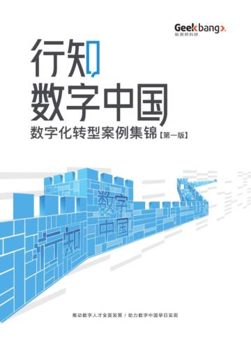 InfoQ：行知数字中国数字化转型案例集锦.pdf