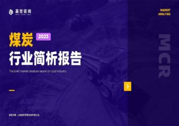 MCR嘉世咨询：2023煤炭行业发展简析报告.pdf