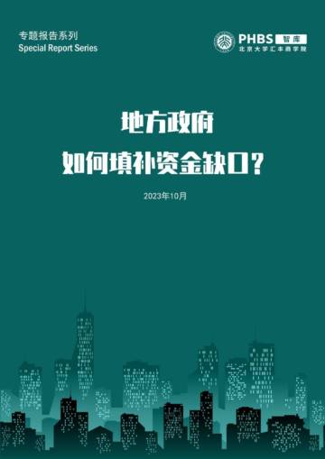 大汇丰智库：地方政府如何填补资金缺口？.pdf
