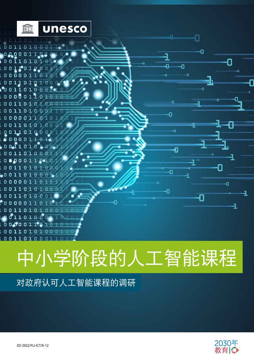 中小学阶段的人工智能课程报告.pdf
