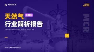 嘉世咨询：2023天然气行业发展简析报告.pdf