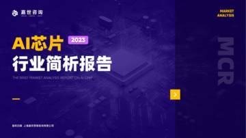 嘉世咨询：2023AI芯片行业发展简析报告.pdf