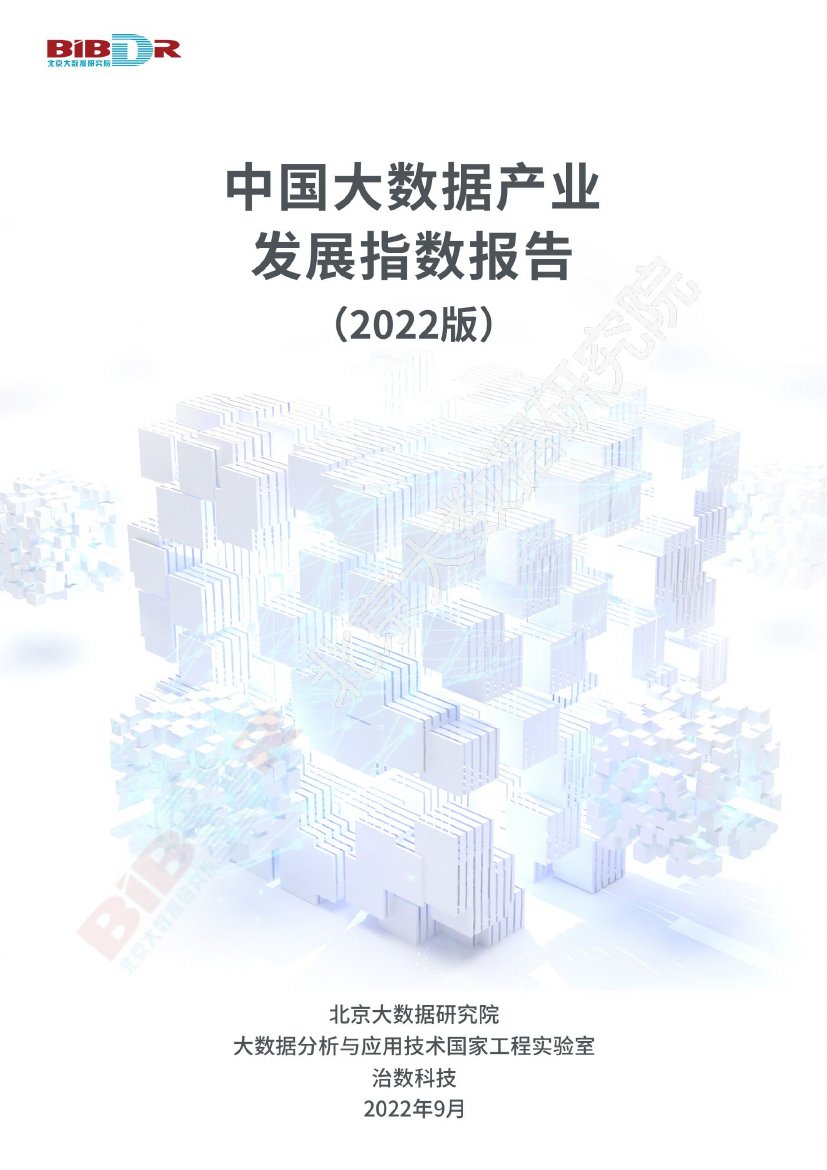 2022中国大数据产业发展指数报告.pdf