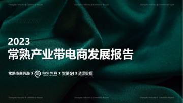 2023常熟产业带电商发展报告.pdf