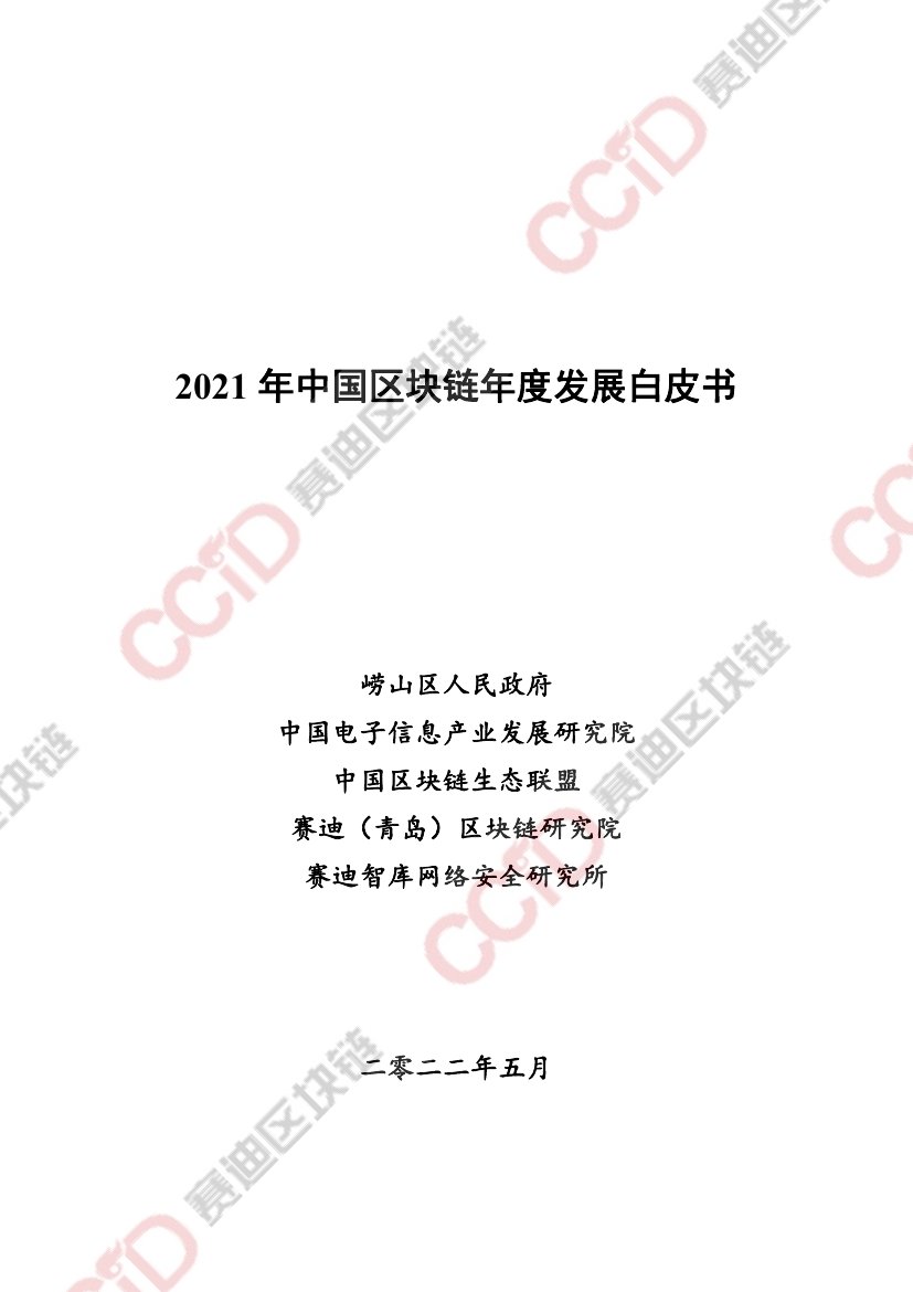 2021年中国区块链年度发展白皮书.pdf