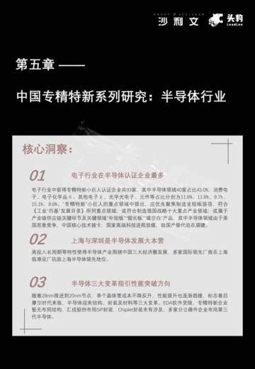 沙利文：2023年中国专精特新企业发展系列白皮书（中）.pdf