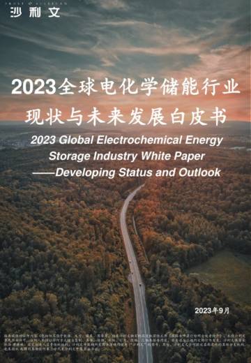 沙利文：2023全球电化学储能行业现状与未来发展白皮书.pdf
