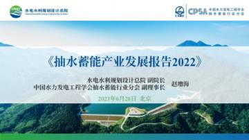抽水储能产业发展报告2022.pdf