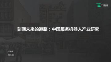 TE智库：中国服务机器人产业研究报告.pdf