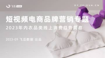 飞瓜数据：2023年内衣品类线上消费趋势洞察.pdf