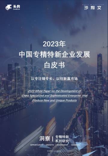 沙利文：2023年中国专精特新企业发展系列白皮书（上）.pdf