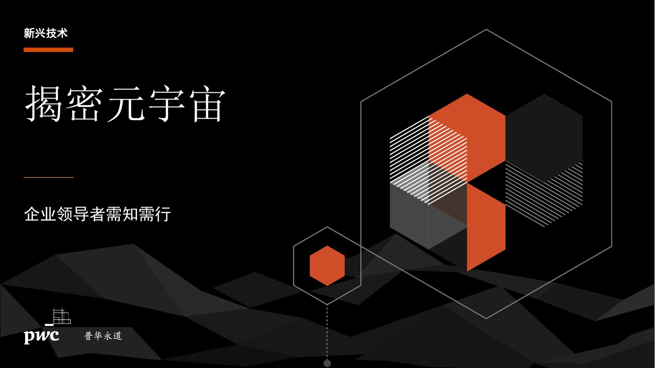 揭秘元宇宙-企业领导者需知需行.pdf