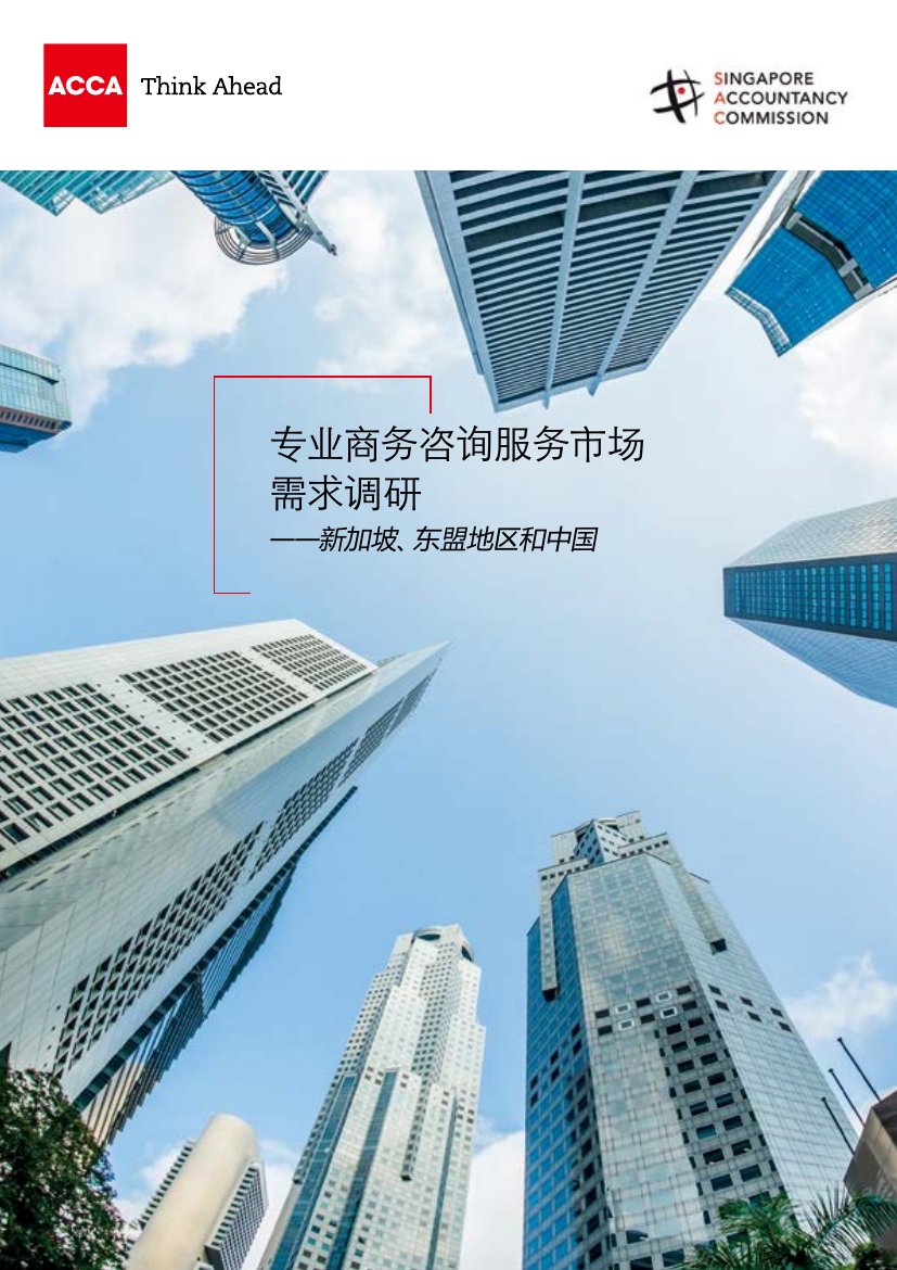 专业商务咨询服务市场需求调研.pdf