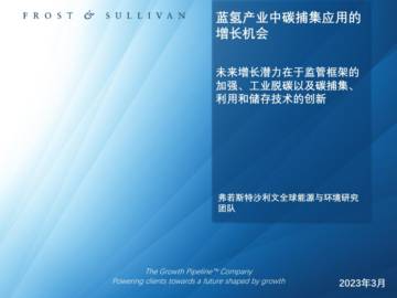 沙利文：2023年全球蓝氢产业中碳捕集应用的增长机会研究报告.pdf