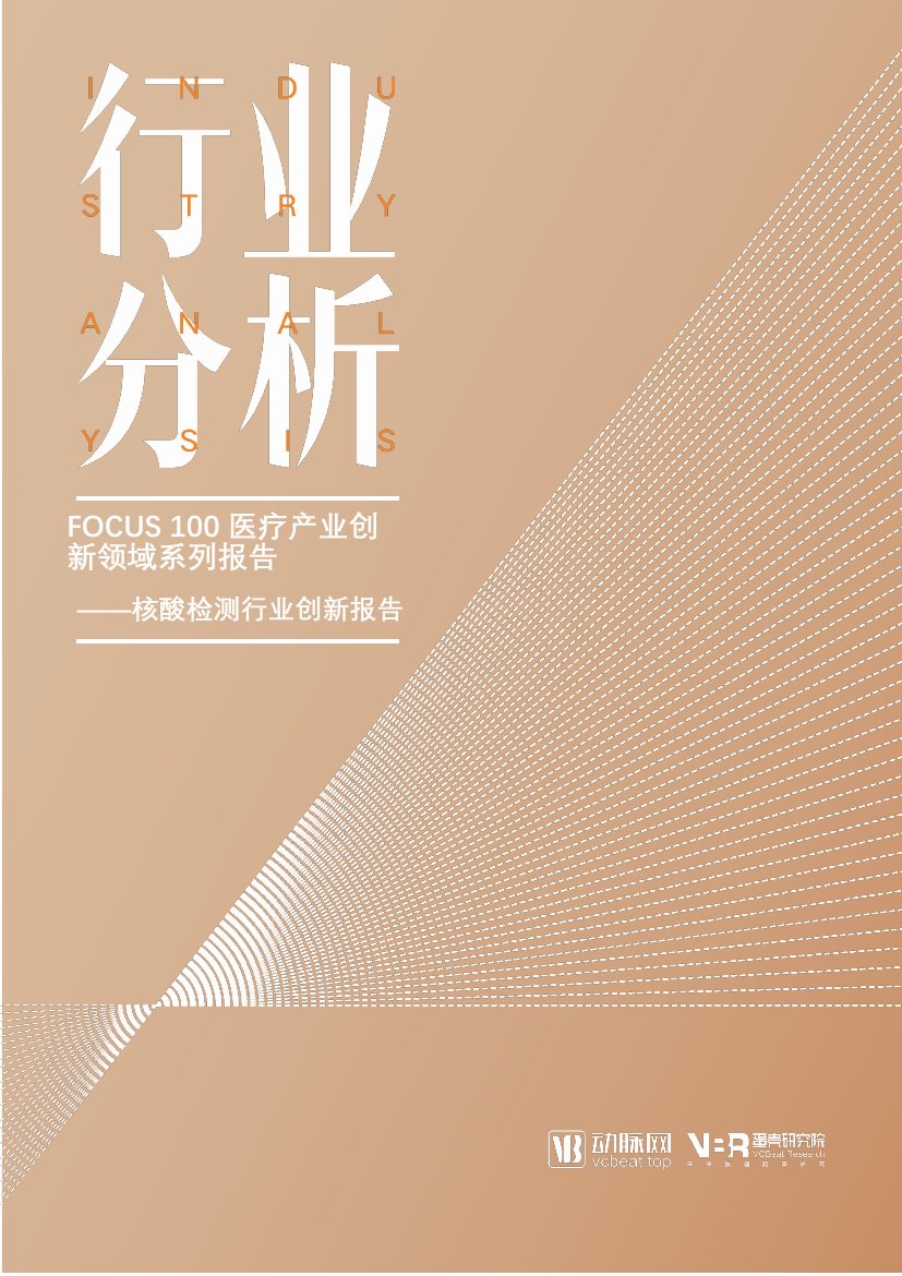 蛋壳研究核酸检测行业创新报告：FOCUS 100医疗产业创新领域系列报告.pdf
