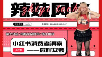 知衣科技：小红书消费者洞察-微胖女装辣妹风格.pdf