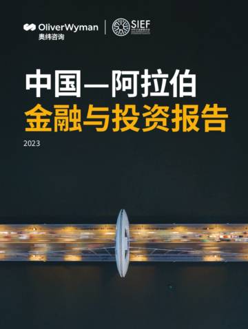 奥纬咨询：2023中国-阿拉伯金融与投资报告.pdf