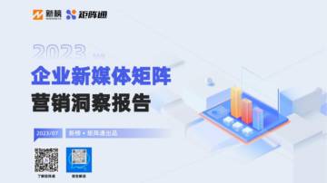 企业新媒体矩阵通营销洞察报告.pdf