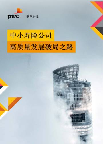 普华永道：中小寿险公司高质量发展破局之路.pdf