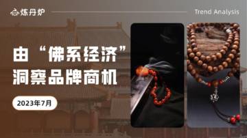 炼丹炉：由“佛系经济”洞察品牌商机.pdf