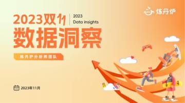 炼丹炉：2023双十一数据洞察报告.pdf