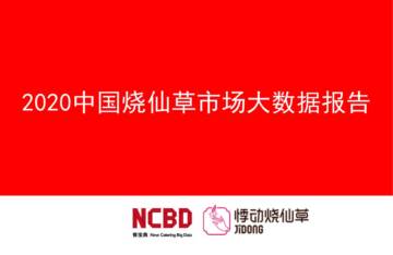 2020中国烧仙草市场大数据报告.pdf