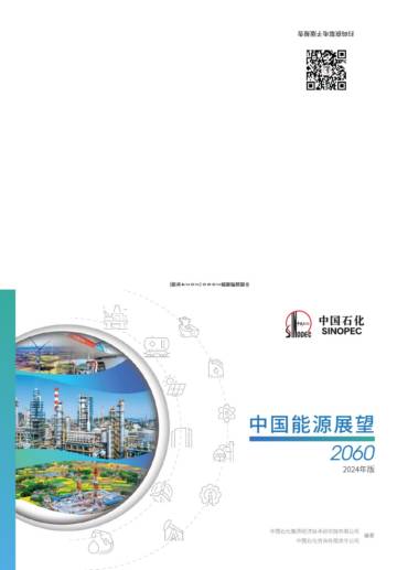 中国石化：中国能源展望2060.pdf