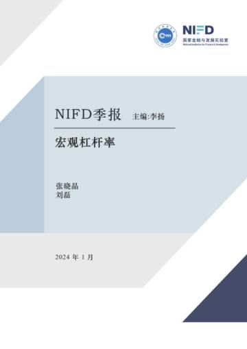 NIFD：2023年度宏观杠杆率报告.pdf