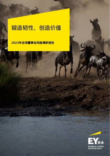 安永：2023年全球董事会风险调研报告-锻造韧性 创造价值.pdf