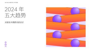 IBV：2024 年五大趋势：深度技术需要深度信任.pdf