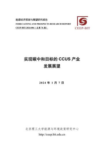北京理工大学：实现碳中和目标的CCUS产业发展展望.pdf