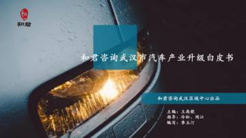 武汉市汽车产业升级白皮书.pdf
