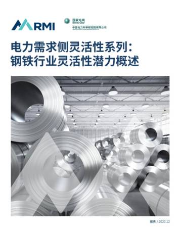 RMI：2023电力需求侧灵活性系列：钢铁行业灵活性潜力概述报告.pdf
